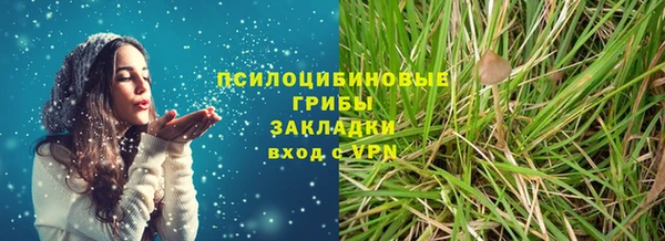 бошки Горняк