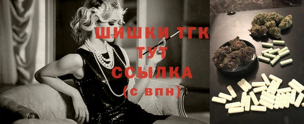 СК Тавда