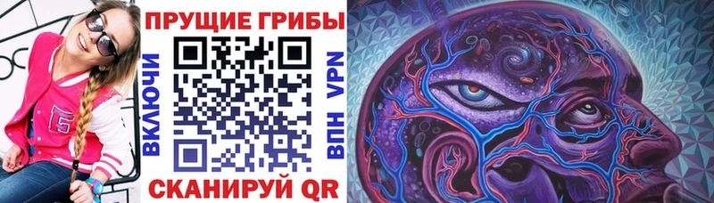 Псилоцибиновые грибы прущие грибы  Мценск 
